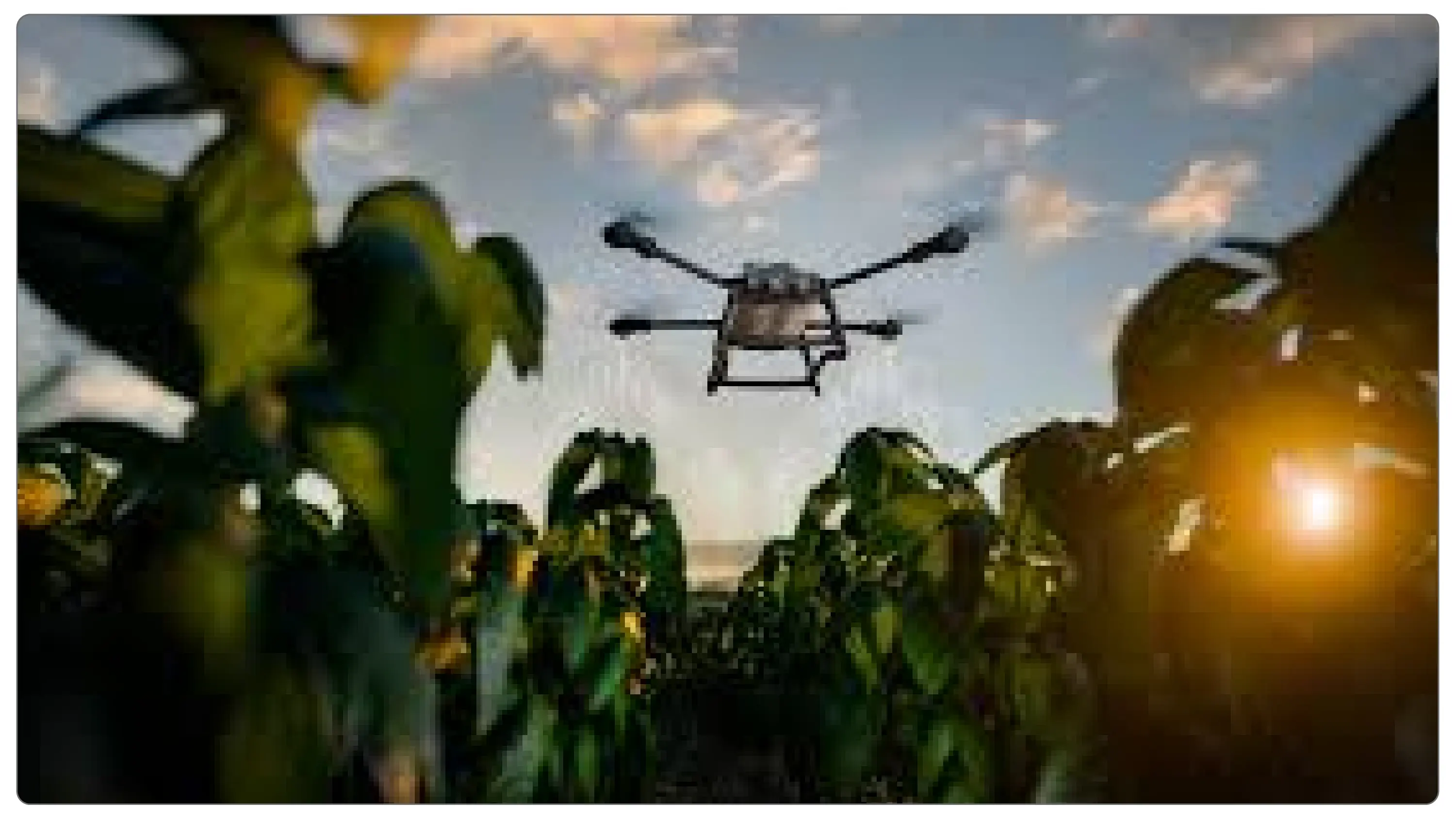 U.S. Agri Co-ops