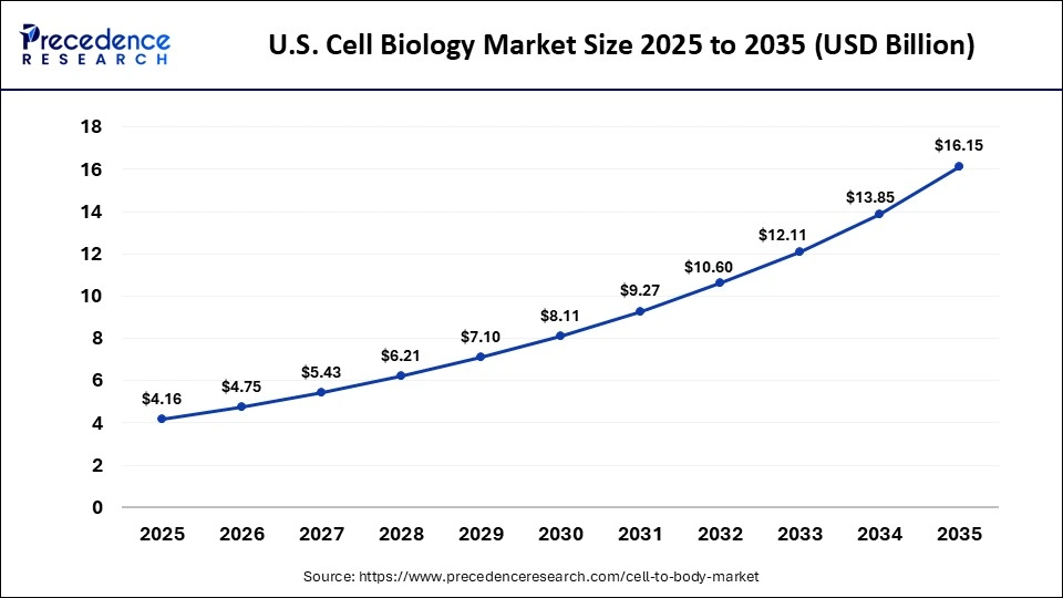 U.S. Cell to Body Market Size 2025 to 2035