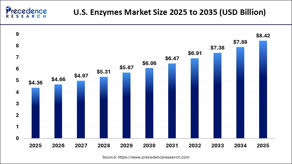 U.S. Enzymes Market Size 2025 to 2035