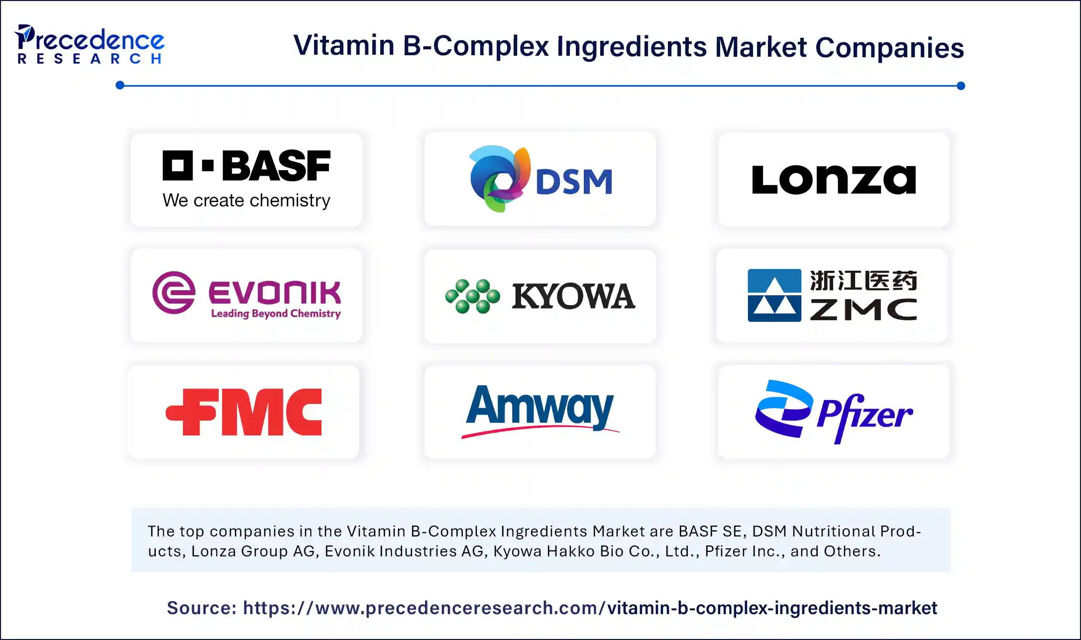 Vitamin B-Complex Ingredients Market Companies