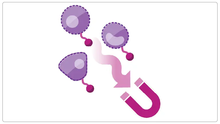 Whole Transcriptome Profiling