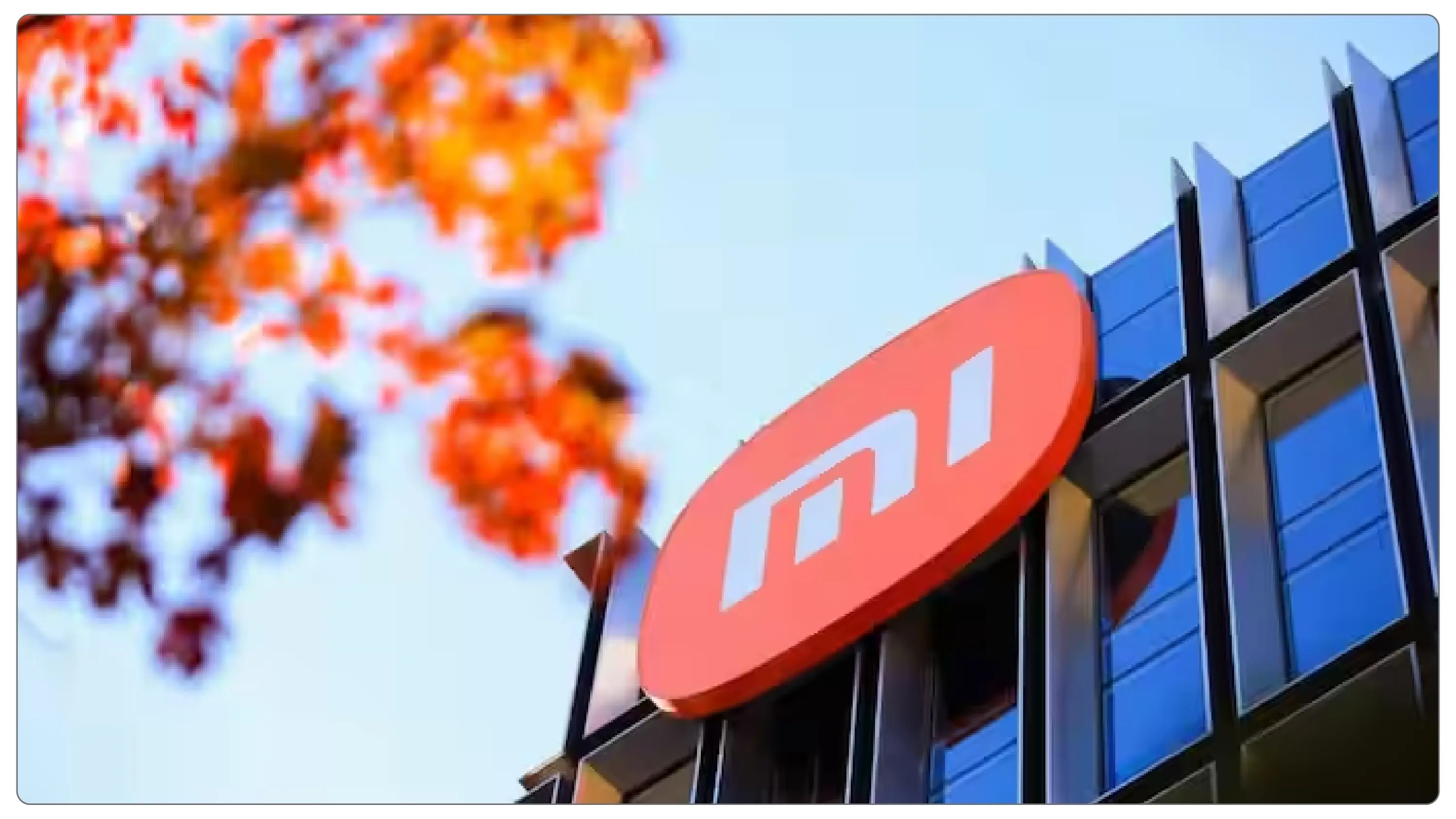Xiaomis